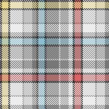 Gray Primary Plaid