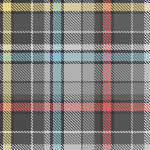 Gray Primary Plaid