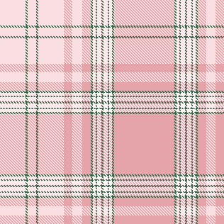 THIS IS AGONY PLAID 4 COLOR