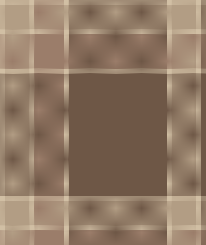 Brown and Cream Comforter