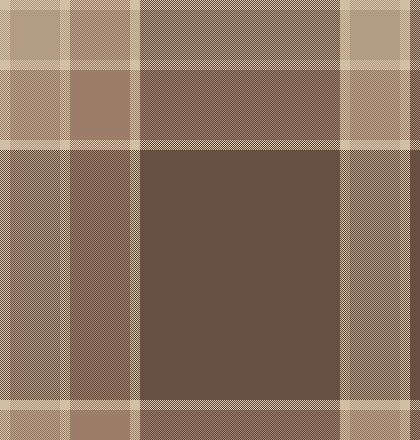 Brown and Cream Comforter 2