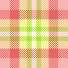 peachy plaid