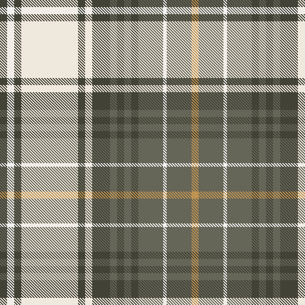 W27Casual  Brushed Check Shirt 1