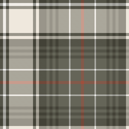 w27Casual Brushed Check Shirt2