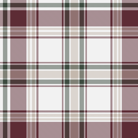 W27Casual Brused Cotton Check9