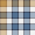 W27Smart Gingham#11