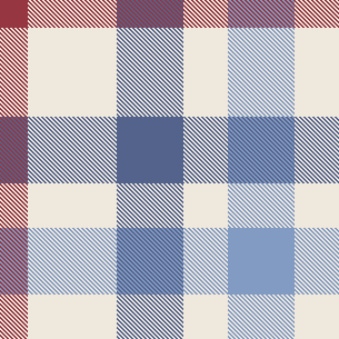 W27Casual Brused Check 2