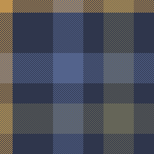 W27Casual Brushed Check 2