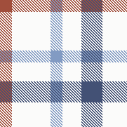 W27Casual Brused Check5