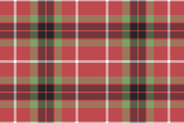 RAFE Rolfe’s Vest Plaid 3