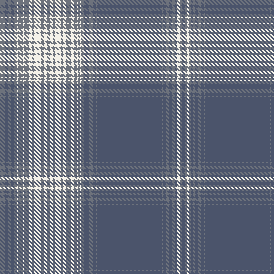 sefat primark aw26 TRANS