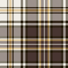 FALL PLAID - 01