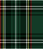 FALL PLAID - 002
