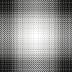 sefat primark aw26 TRANS