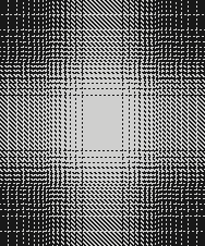 sefat primark aw26 TRANS