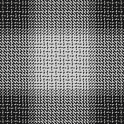 sefat primark aw26 TRANS