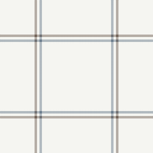 TJG Blue and White Plaid