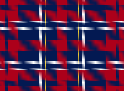 Disney VIP Tours Plaid