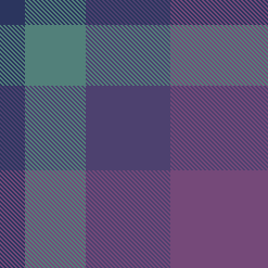 Flores Cruz: Fav Plaid