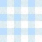 Baby blue gingham