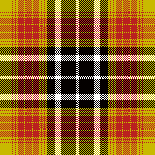 Athena's Next Project