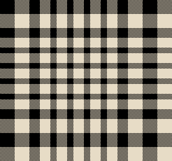 MB 6月ギンガムチェック　クロ×アイボリー