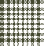 MB 6月ギンガムチェック　オフ×カーキ