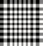 MB 6月ギンガムチェック　白黒