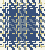blue plaid 1