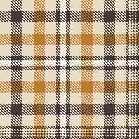 H1 2027 FEBRUARY PLAID #1