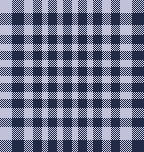 MB 6月ギンガムチェック　コン×ラベンダー