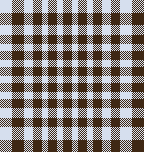 MB 6月ギンガムチェック　チャ×サックス