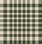 MB 6月ギンガムチェック　カーキ×ベージュ