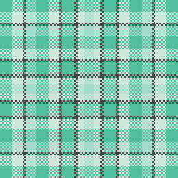 Plaid Mint