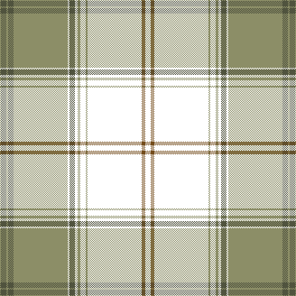 FIR PLAID 1