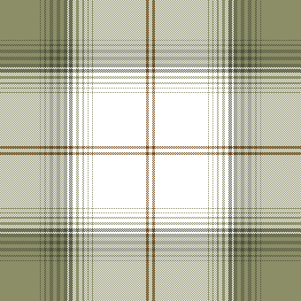 FIR PLAID 2