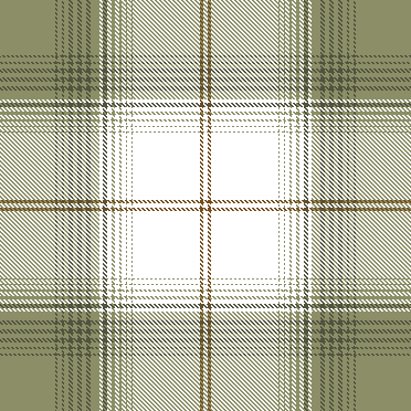 FIR PLAID 4