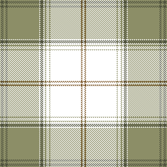 FIR PLAID 6