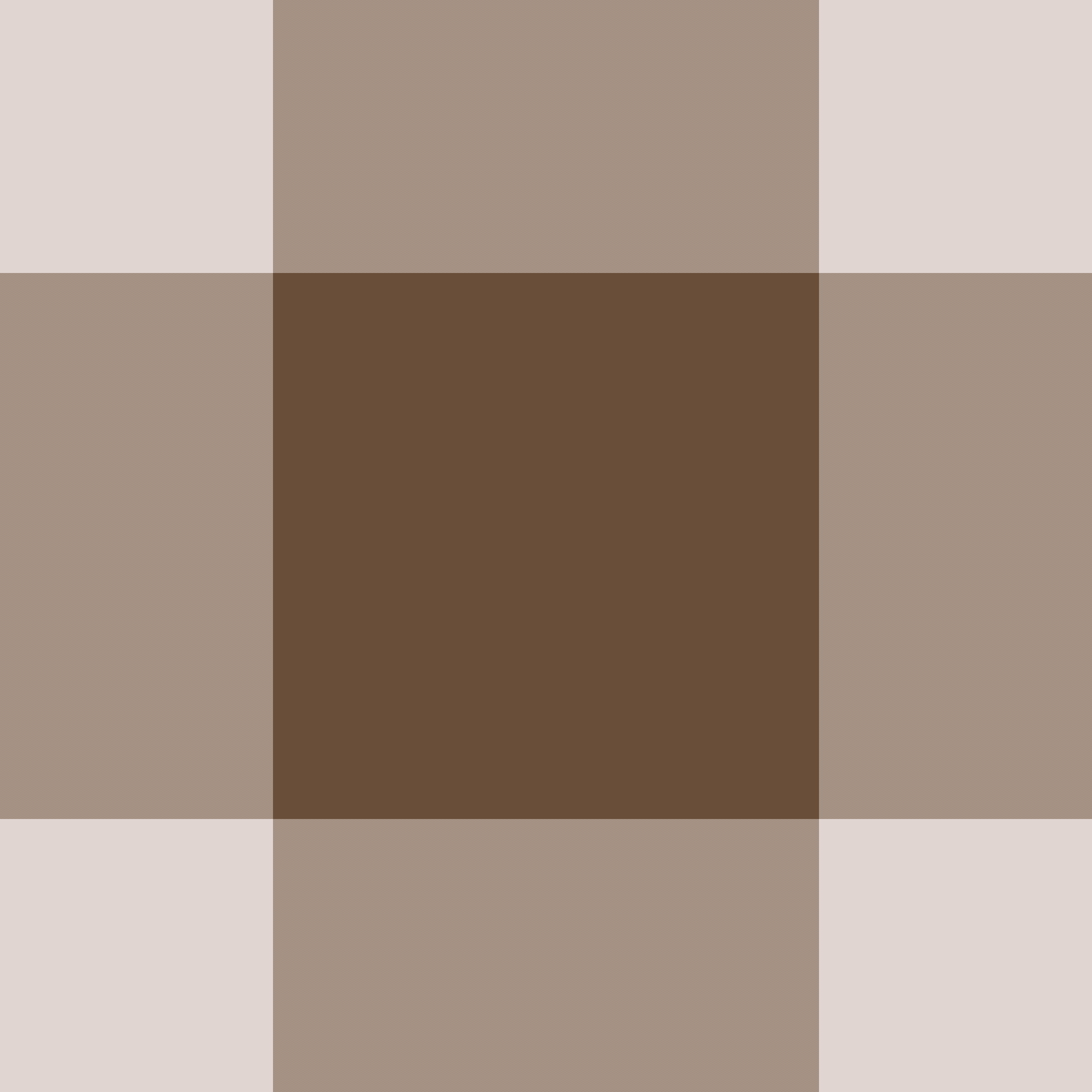 BIGTIME GINGHAM PLAID MOCHA AND CREAM