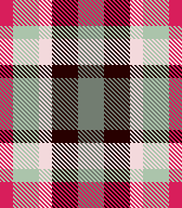 plaid x