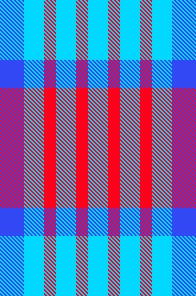 Hollands glorie tulp