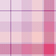 Mizuki Akiyama Plaid