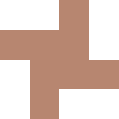 Manohar-WBrown-Blouse