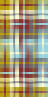 Yellow teal plaid