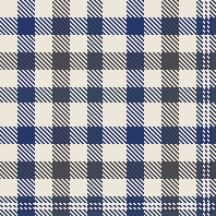 FUN PLAID
