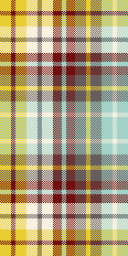 Updated country plaid