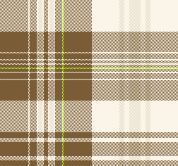 FS27SS_MADRAS CHECK_新色1