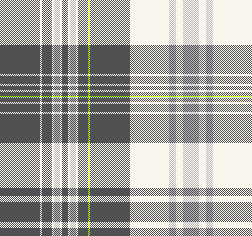 FS27SS_MADRAS CHECK_新色2