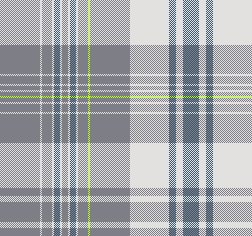 FS27SS_MADRAS CHECK_新色3