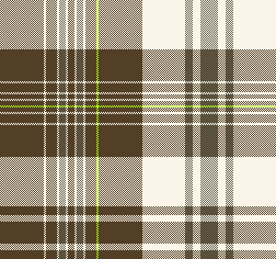 FS27SS_MADRAS CHECK_新色4